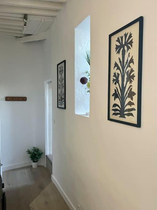 Appartement Renove De Caractere/ Parking Prive Saint-Rémy-de-Provence Eksteriør billede
